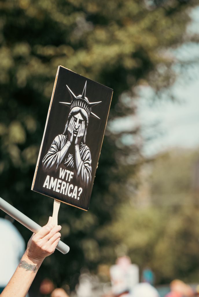 Close-up of a protest sign featuring the Statue of Liberty with the text 'WTF America?' outdoors.